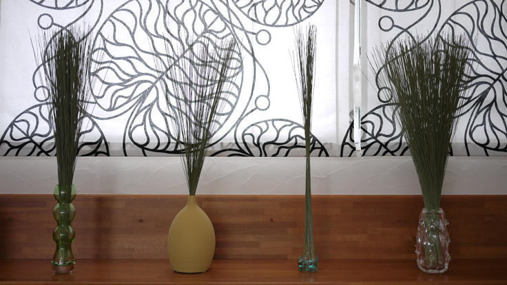 バラを乾燥させる方法