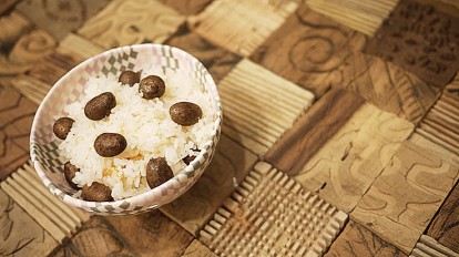 クリルボブテイル:狩猟本能を持つ穏やかなパワーを持つ動物