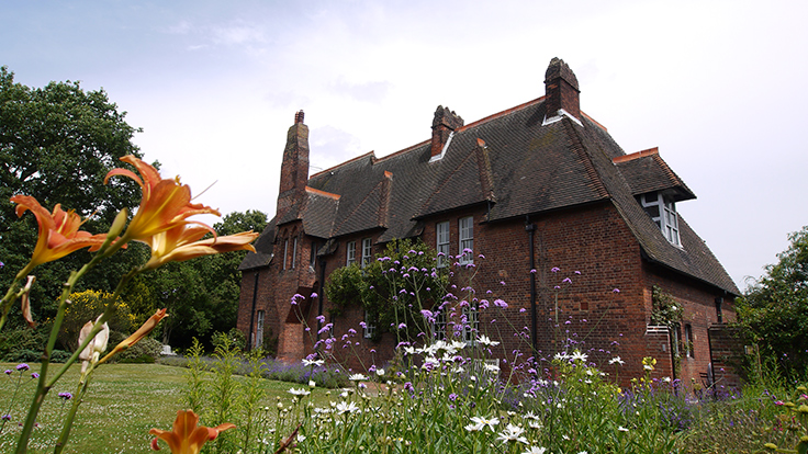 世界で一番臭い植物 - ラフレシア